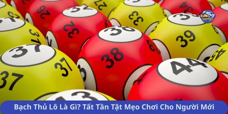 Bạch Thủ Lô Là Gì? Tất Tần Tật Mẹo Chơi Cho Người Mới