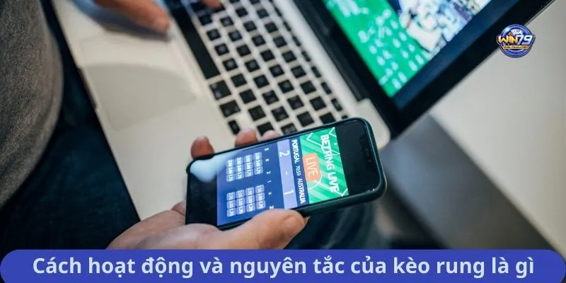 Cách hoạt động và nguyên tắc của kèo rung là gì