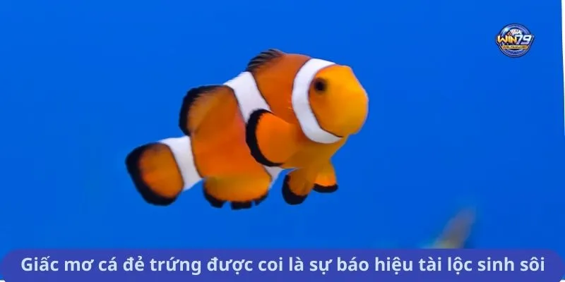 Giấc mơ cá đẻ trứng được coi là sự báo hiệu tài lộc sinh sôi