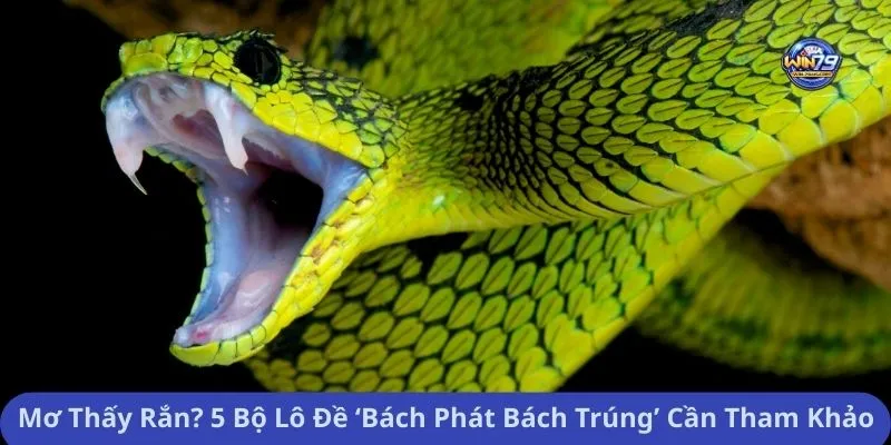 Mơ Thấy Rắn? 5 Bộ Lô Đề ‘Bách Phát Bách Trúng’ Cần Tham Khảo