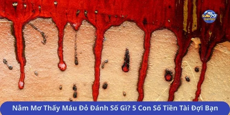 Nằm Mơ Thấy Máu Đỏ Đánh Số Gì? 5 Con Số Tiền Tài Đợi Bạn