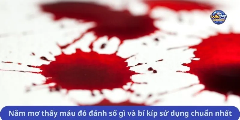 Nằm mơ thấy máu đỏ đánh số gì và bí kíp sử dụng chuẩn nhất