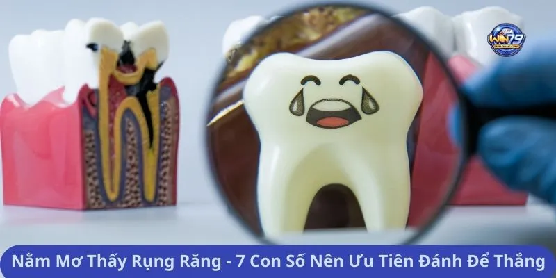 Nằm Mơ Thấy Rụng Răng - 7 Con Số Nên Ưu Tiên Đánh Để Thắng
