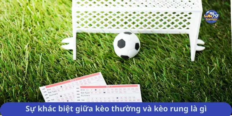 Sự khác biệt giữa kèo thường và kèo rung là gì