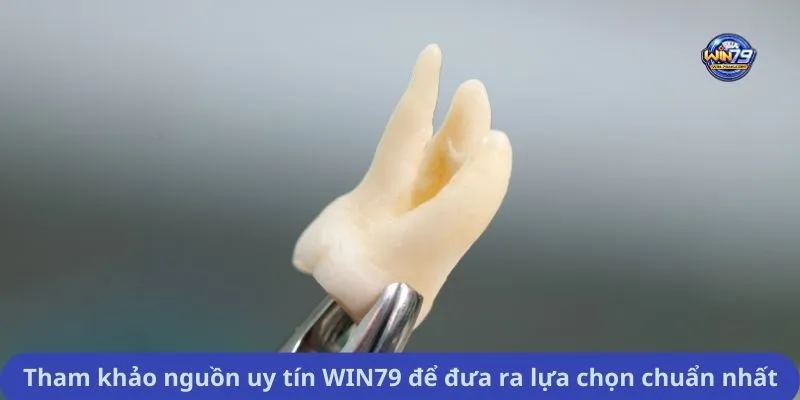 Tham khảo nguồn uy tín WIN79 để đưa ra lựa chọn chuẩn nhất