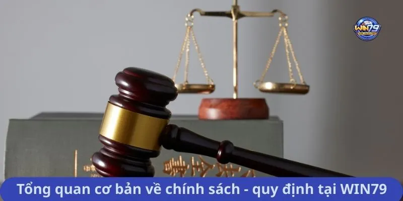 Điều khoản và điều kiện 