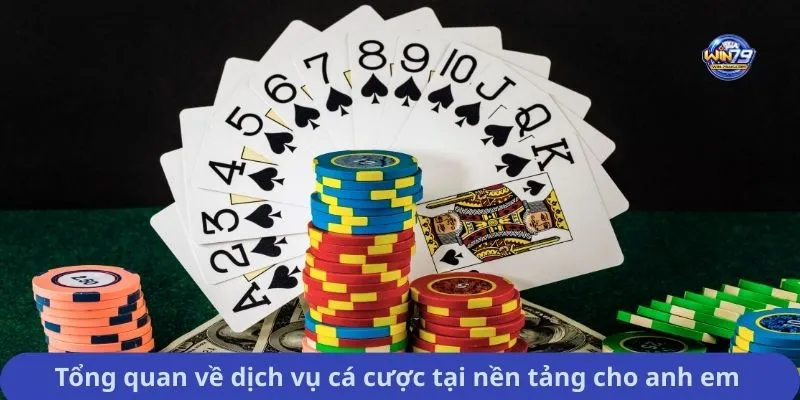 Tổng quan về dịch vụ cá cược tại nền tảng cho anh em